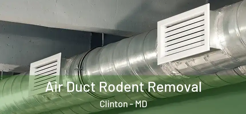  Air Duct Rodent Removal Clinton - MD