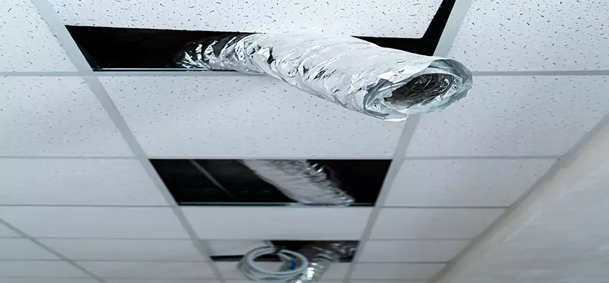 Our Air Duct Pet Hair Removal Services in Clinton, MD