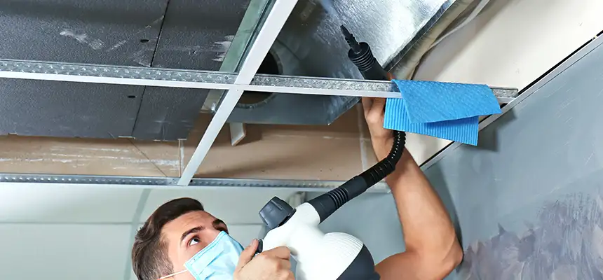 Our Air Duct Rodent Removal Services in Clinton, MD