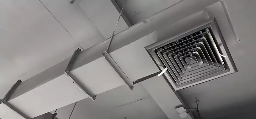 Our Rodent Droppings In Vents Services in Clinton, MD