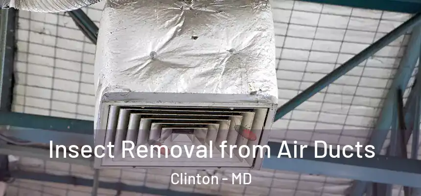  Insect Removal from Air Ducts Clinton - MD