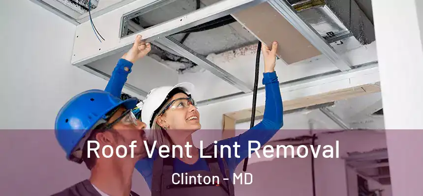  Roof Vent Lint Removal Clinton - MD