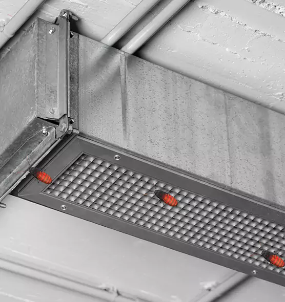 About Air Duct Cockroach Removal in Clinton, MD