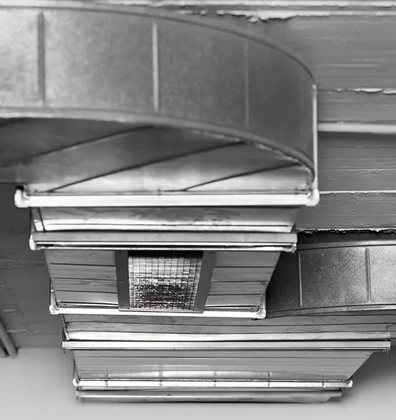 Professional Air Duct Pest Removal in Clinton, MD