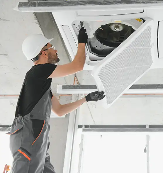 About Air Duct Rodent Removal in Clinton, MD