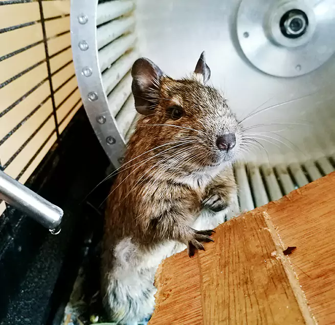 Why Homeowners & Businesses Trust Us Clinton, MD