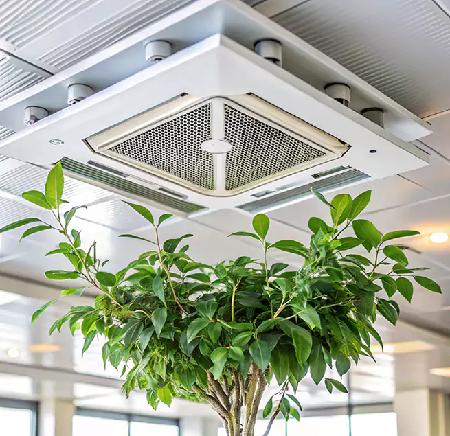 Why Homeowners & Businesses Trust Us in Clinton, MD?